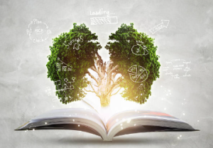 book and tree